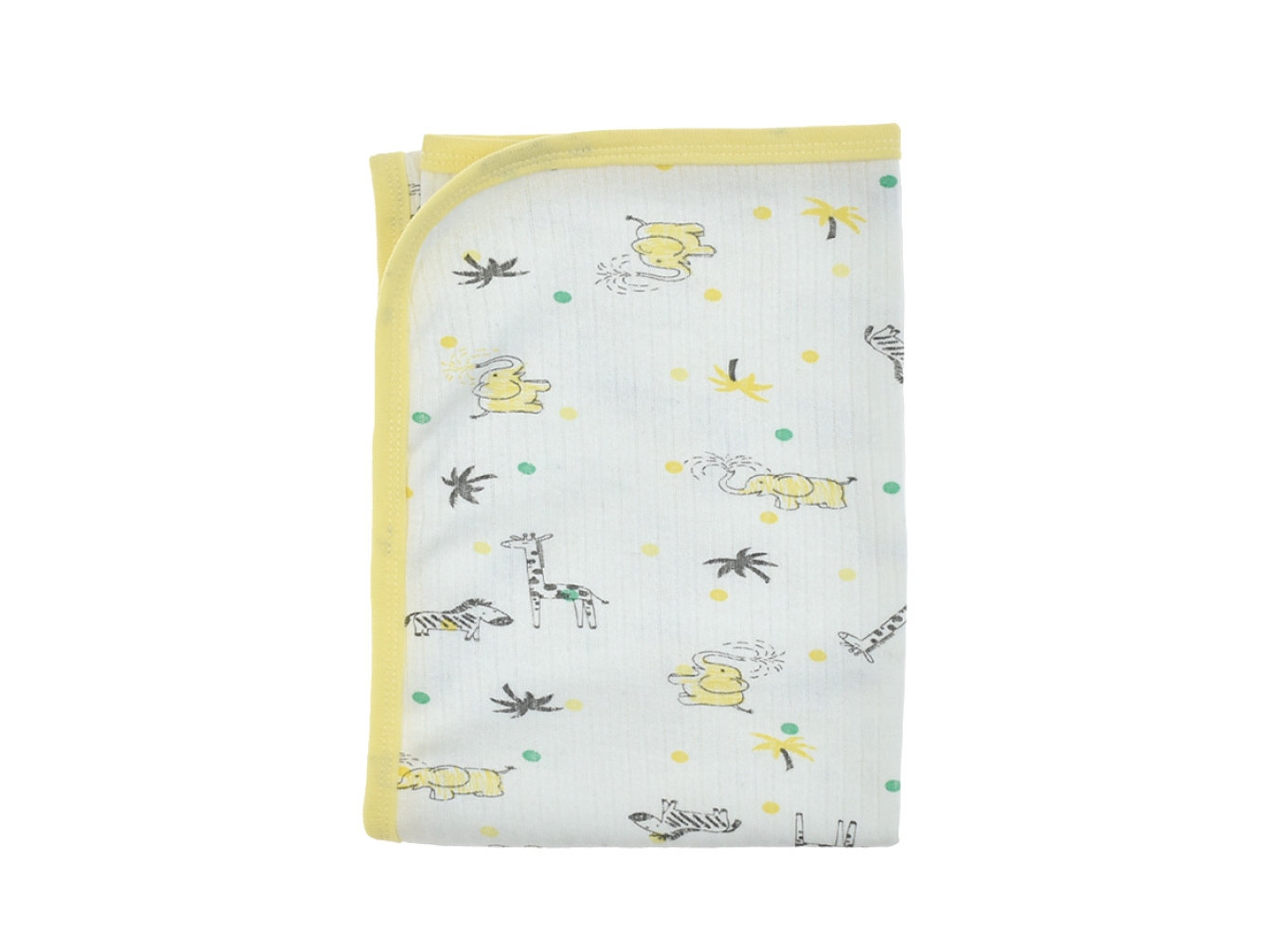 TEK KAT RAPORLU 12  AY