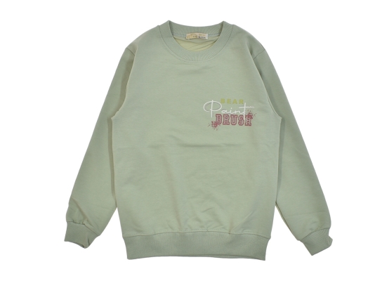 POINT BASKILI SWEAT 13-14-15-16  YAŞ